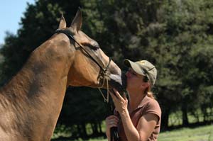 Photo by Cookie Originals. Rosanna of KaraKum Stud.