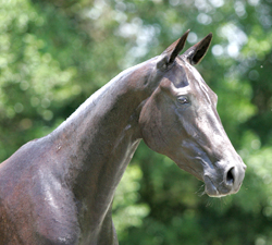 Photo of Akhal-Teke Prizma 