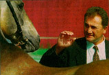 Photo of Akhal-Teke Geldi Kyarizov & Almaz