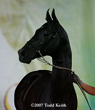 Photo of Akhal-Teke EQUIROS Shael Gold Cup 2007 Part 3